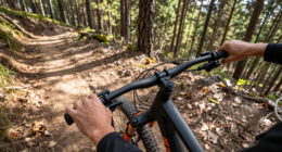 15 Best Electric Mountain Bikes in 2026