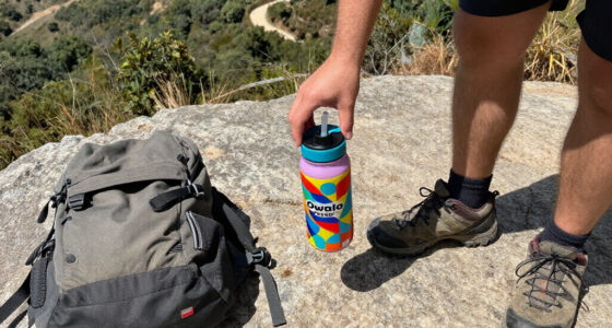 15 Best Owala FreeSip Water Bottles for Everyday Hydration in 2027